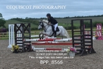 BPP_8566