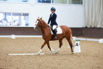 SBM_000481