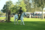 SBM_36295