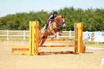 SBM_006645