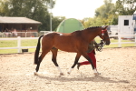 SBM_08163