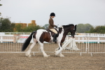 SBM_22425