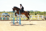SBM_006046