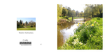06 Daffodils and the river Stour, Thurlow Hall Gardens