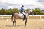 SBM_004561