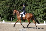 177-ARGENTINO_BK-Dani_Evans-WEDTrotUp+DR portfolio