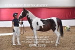 BPP_1676