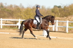 SBM_003499