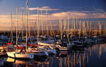 Troon Harbour 01