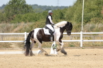 SBM_001586