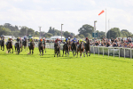 230824-Race 5-Canoodled-8487