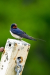 20120529-_MG_9347