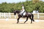 SBM_001564