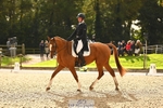 362-GLOBAL.AMARETTO-Charlotte.Agnew-DR portfolio