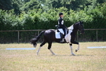 WJ6_4237
