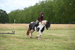 WJ6_5547
