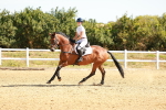 SBM_002646