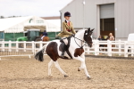 SBM_03699