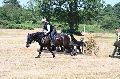 WJ7_5274