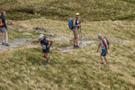 Hartsop Hop-495