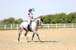 SBM_010090