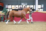 SBM_16622