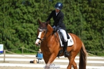 252-LVS_MOVISTAR-Elizabeth_Barratt-WEDTrotUp+DR portfolio