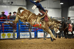 3HRodeo_Frozen_Fury_FEB_2026_00919
