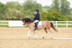 SBM_005951
