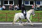 SIAL0459