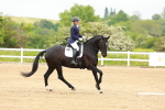 SBM_004732