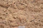 230630A-170328-03551