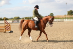 SBM_06879