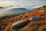 Autumn on Garfield Ridge