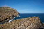Albatross Rookery
