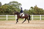 SBM_001815