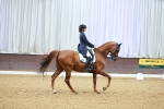 SBM_007234
