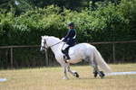 WJ6_3344
