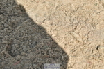 230422A-133638-06041