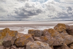 Low Tide 2