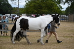 WJ6_8376