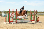 SBM_005430