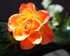 20110626-IMG_8796