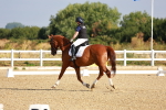 SBM_008136