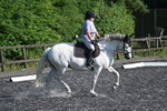 WJ7_9110