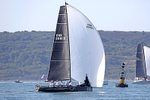 190629 TOUCAN GBR2801X D43A0889