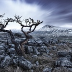 Ingleton Winter Landscape