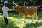 North Show_2014-4