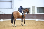 SBM_008931