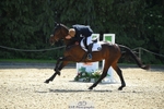 Rider 260 to 265 portfolio